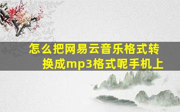 怎么把网易云音乐格式转换成mp3格式呢手机上