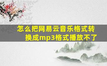 怎么把网易云音乐格式转换成mp3格式播放不了