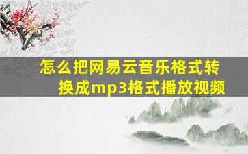 怎么把网易云音乐格式转换成mp3格式播放视频