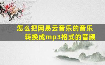 怎么把网易云音乐的音乐转换成mp3格式的音频