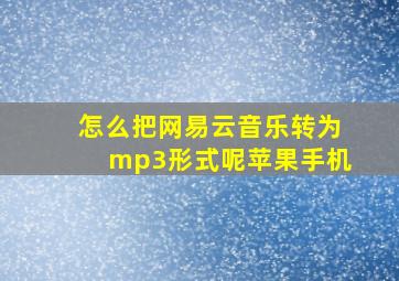 怎么把网易云音乐转为mp3形式呢苹果手机