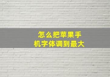 怎么把苹果手机字体调到最大