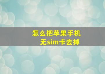 怎么把苹果手机无sim卡去掉