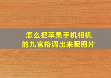 怎么把苹果手机相机的九宫格调出来呢图片