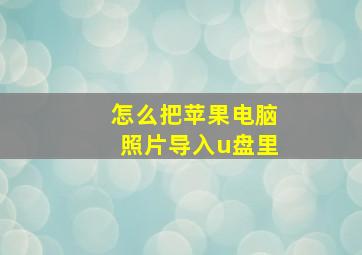 怎么把苹果电脑照片导入u盘里