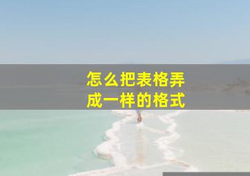 怎么把表格弄成一样的格式