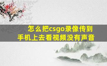 怎么把csgo录像传到手机上去看视频没有声音