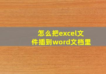 怎么把excel文件插到word文档里