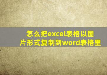 怎么把excel表格以图片形式复制到word表格里