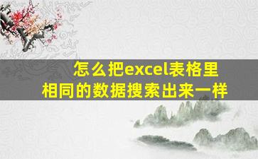 怎么把excel表格里相同的数据搜索出来一样