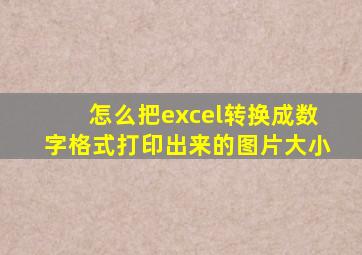 怎么把excel转换成数字格式打印出来的图片大小