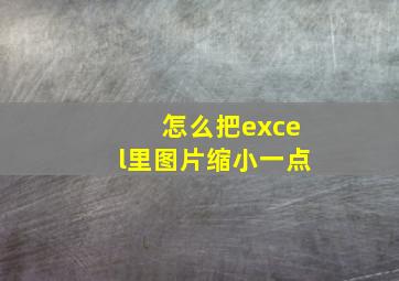 怎么把excel里图片缩小一点