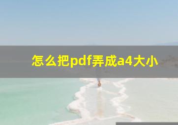 怎么把pdf弄成a4大小