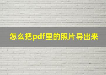 怎么把pdf里的照片导出来