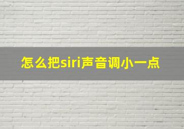 怎么把siri声音调小一点