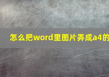 怎么把word里图片弄成a4的