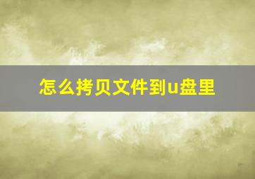 怎么拷贝文件到u盘里