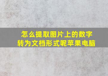 怎么提取图片上的数字转为文档形式呢苹果电脑