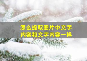 怎么提取图片中文字内容和文字内容一样