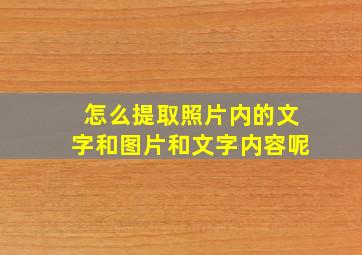 怎么提取照片内的文字和图片和文字内容呢