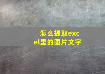 怎么提取excel里的图片文字