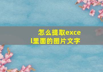 怎么提取excel里面的图片文字