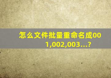 怎么文件批量重命名成001,002,003...?