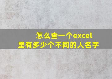 怎么查一个excel里有多少个不同的人名字