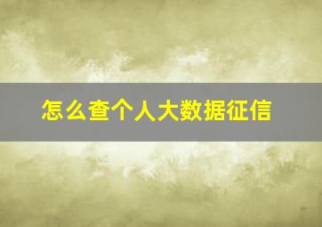 怎么查个人大数据征信