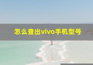 怎么查出vivo手机型号