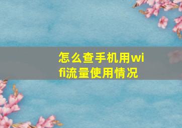 怎么查手机用wifi流量使用情况