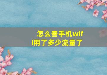 怎么查手机wifi用了多少流量了