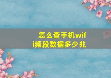 怎么查手机wifi频段数据多少兆