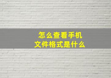 怎么查看手机文件格式是什么