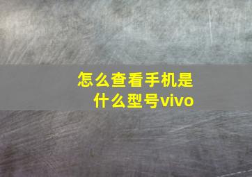 怎么查看手机是什么型号vivo