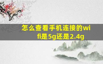 怎么查看手机连接的wifi是5g还是2.4g