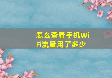 怎么查看手机WiFi流量用了多少