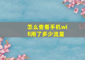 怎么查看手机wifi用了多少流量