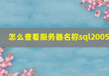 怎么查看服务器名称sql2005