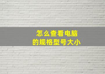 怎么查看电脑的规格型号大小