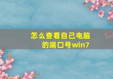 怎么查看自己电脑的端口号win7