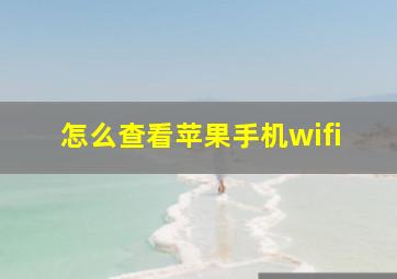 怎么查看苹果手机wifi