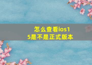 怎么查看ios15是不是正式版本