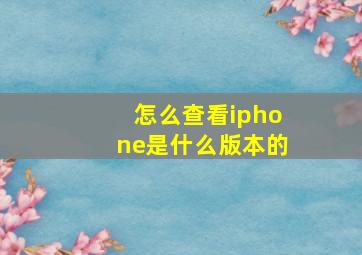 怎么查看iphone是什么版本的