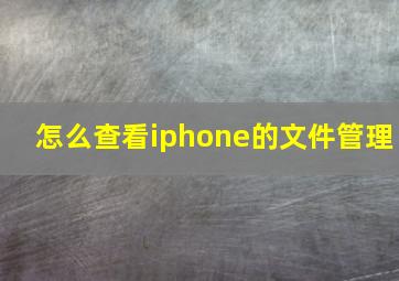 怎么查看iphone的文件管理