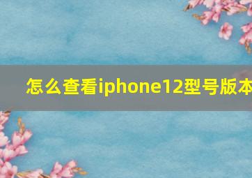 怎么查看iphone12型号版本