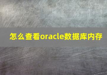 怎么查看oracle数据库内存