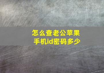 怎么查老公苹果手机id密码多少