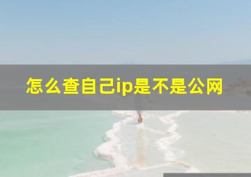 怎么查自己ip是不是公网