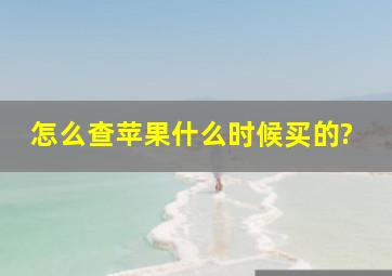 怎么查苹果什么时候买的?